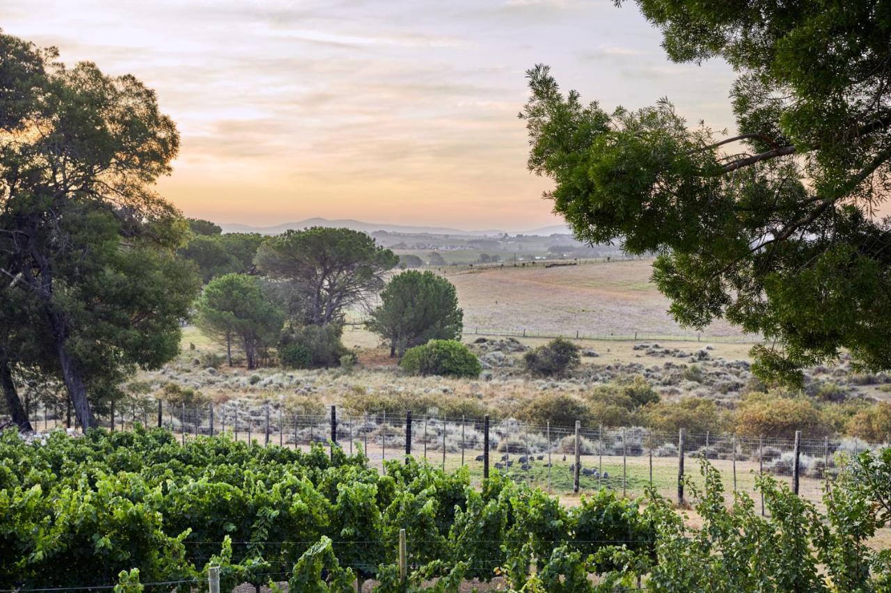 Deux Freres Wine Estate & Luxury Villas ستيلينبوش المظهر الخارجي الصورة