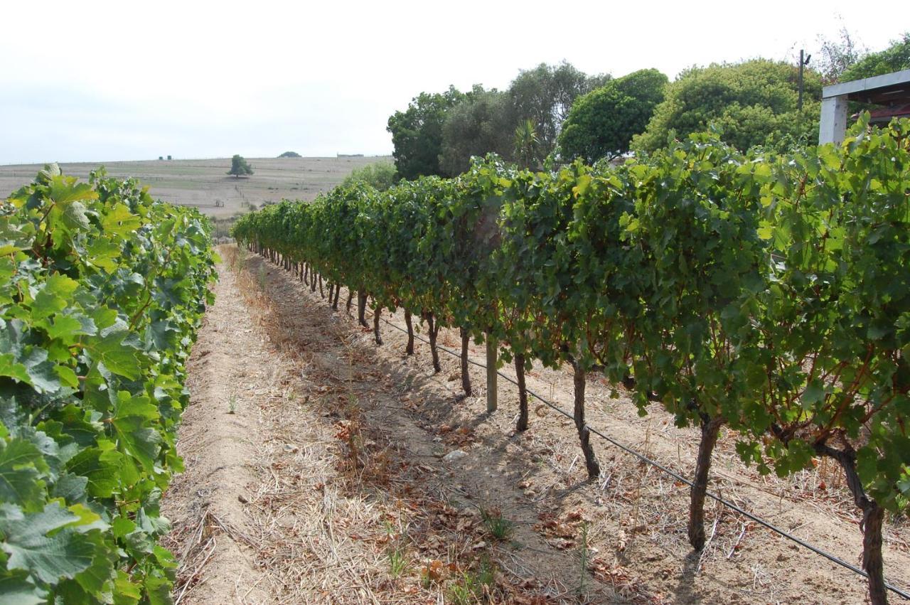 Deux Freres Wine Estate & Luxury Villas ستيلينبوش المظهر الخارجي الصورة
