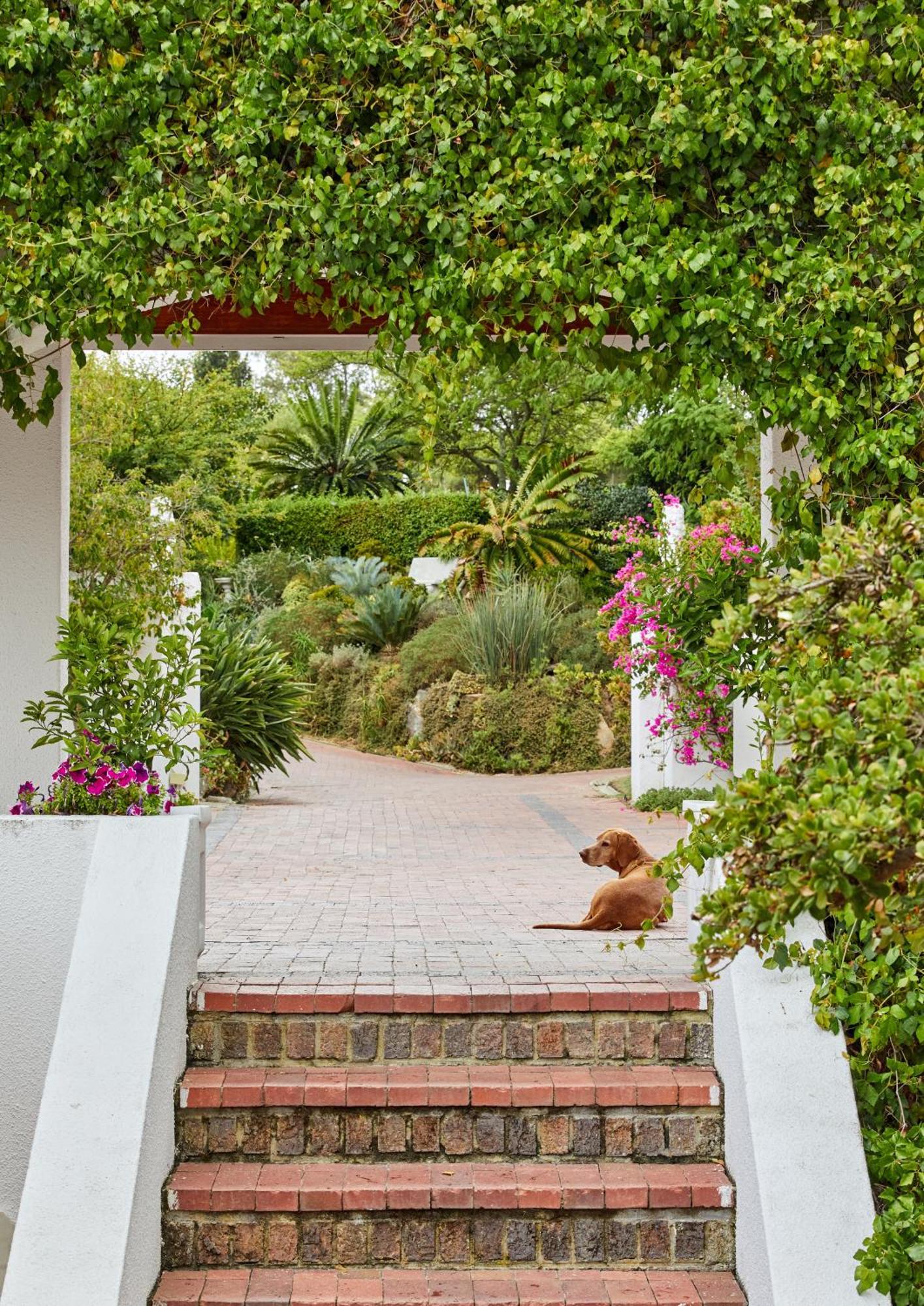 Deux Freres Wine Estate & Luxury Villas ستيلينبوش المظهر الخارجي الصورة